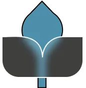 A lotus flower.