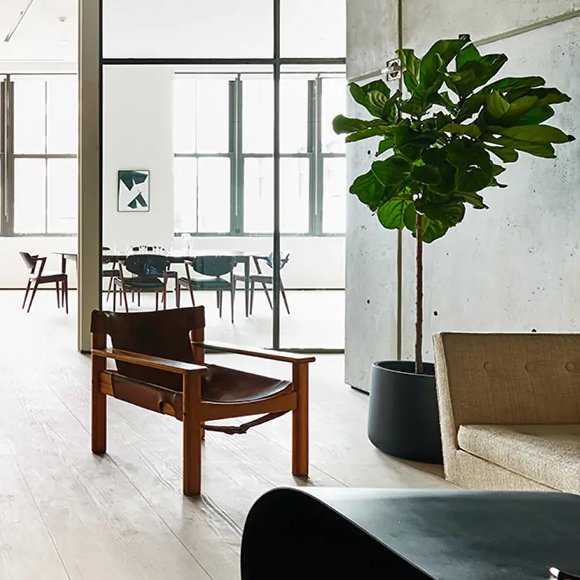 Cozy corner at Spring Place with an armchair and decorative indoor plant