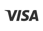 visa logo
