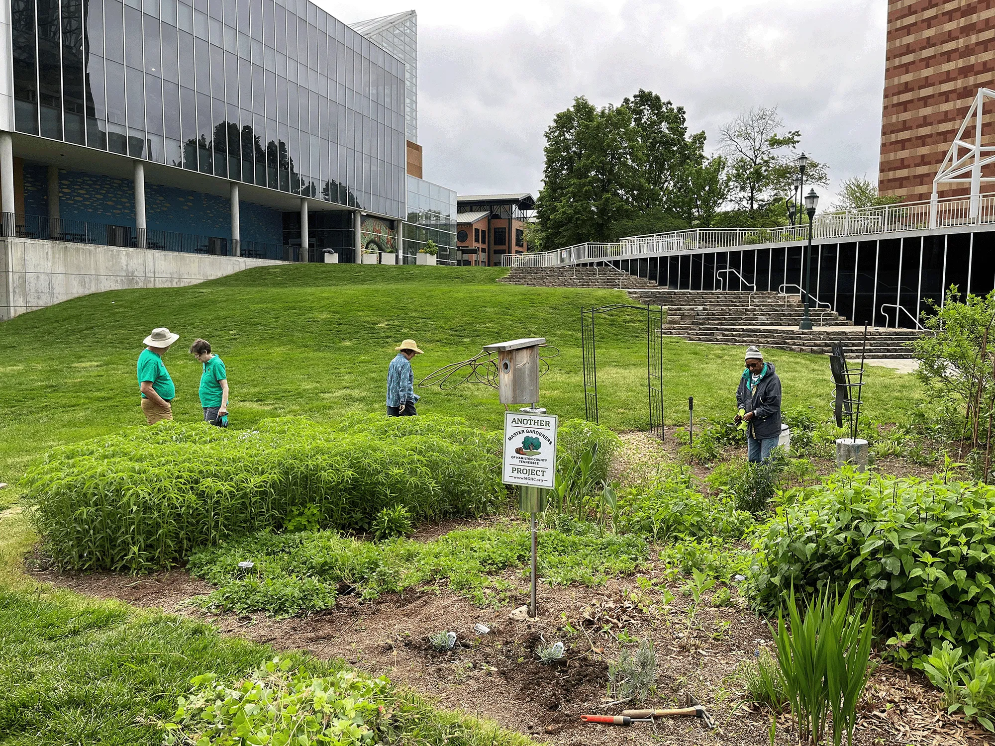 TN Aquarium rehabilitation program
