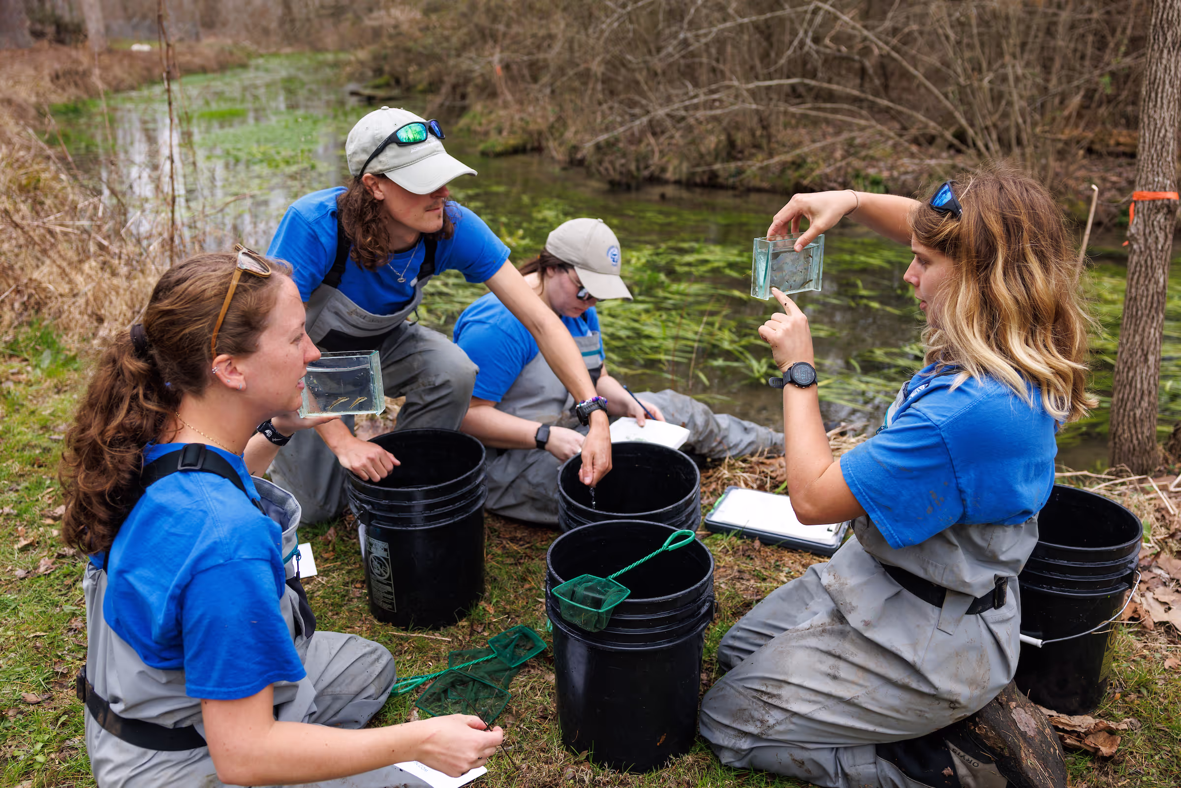 TN Aquarium rehabilitation program