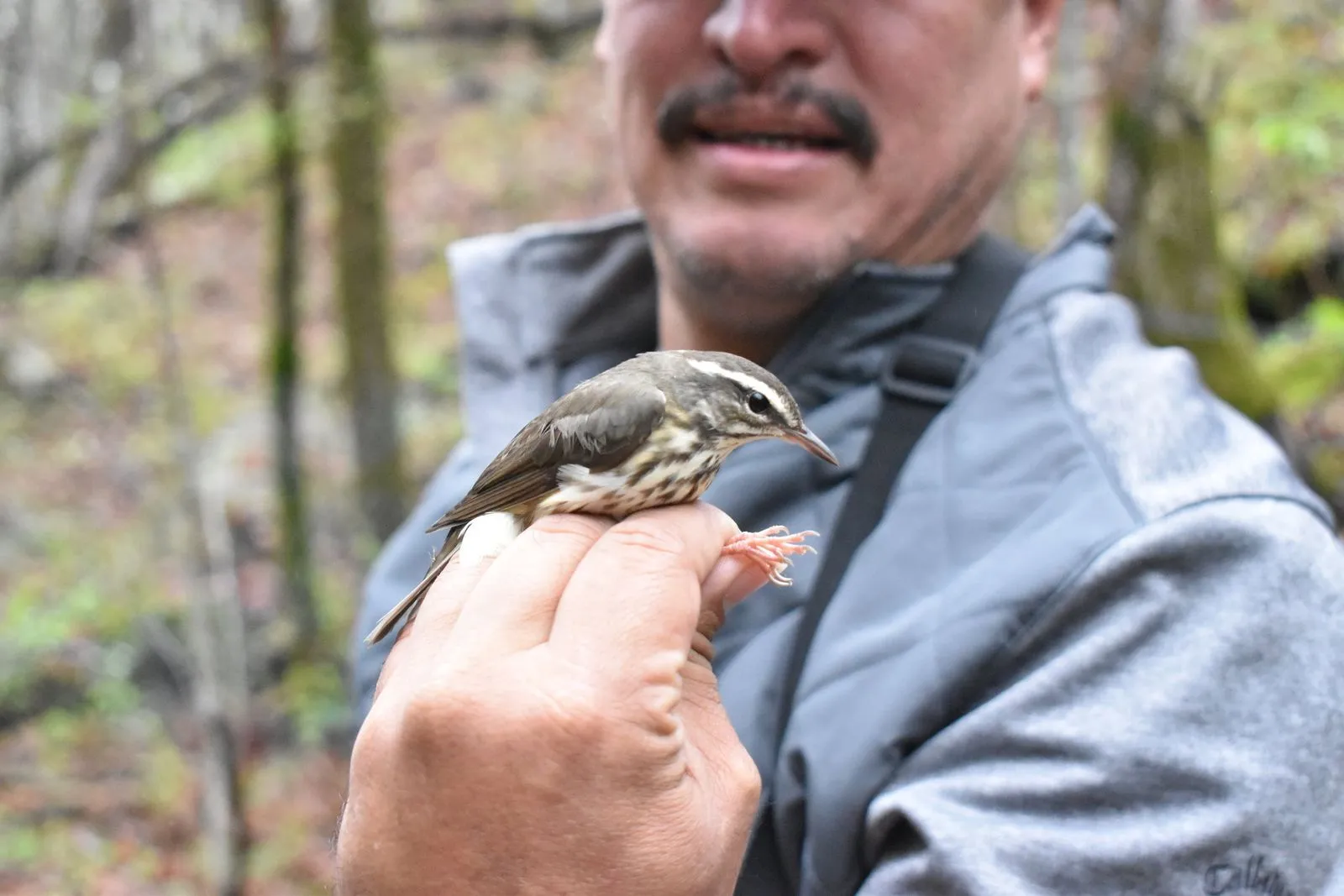 TRGT Migratory Birds Program