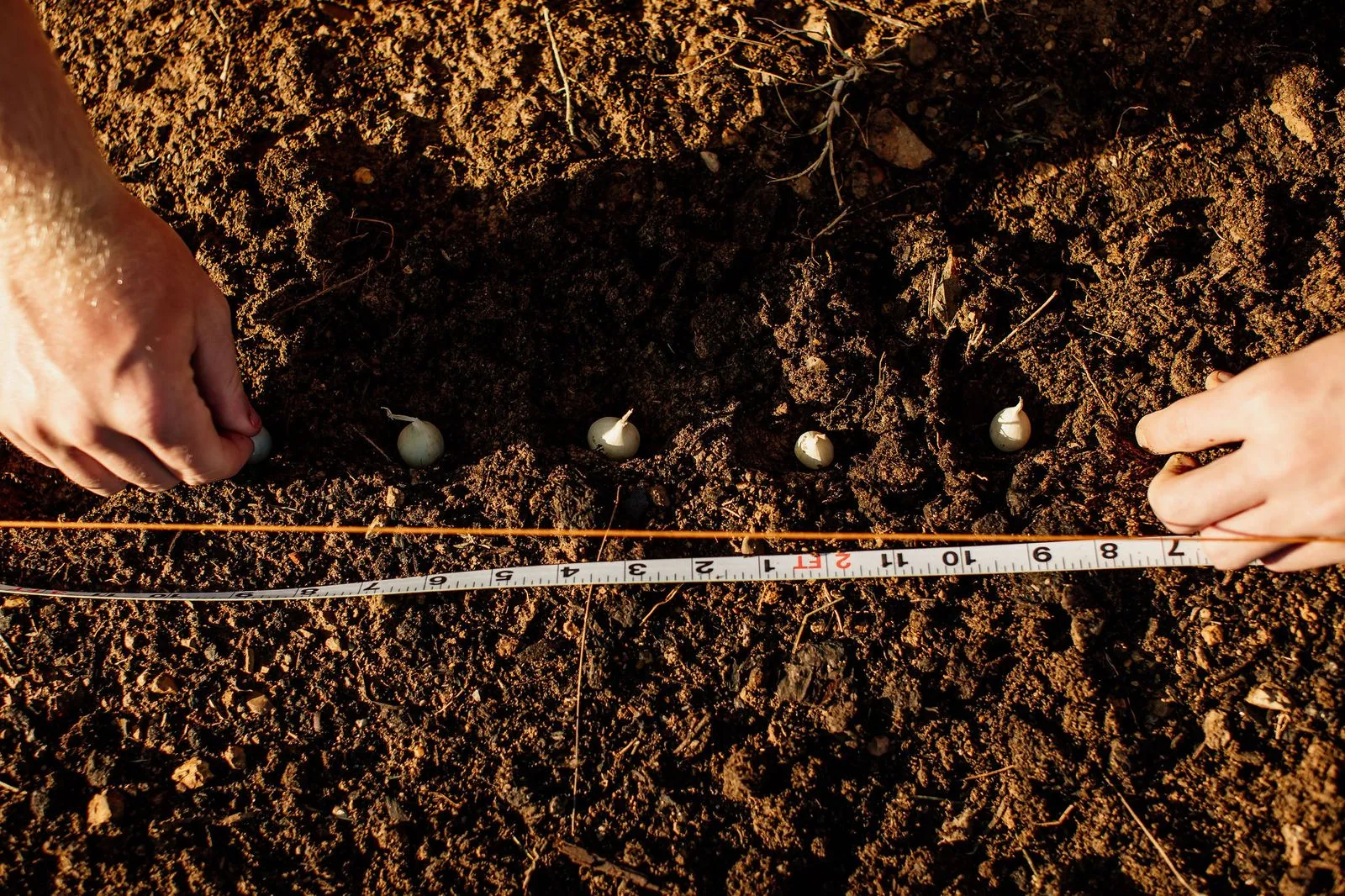 Boyd Buchanan High School - Chattanooga