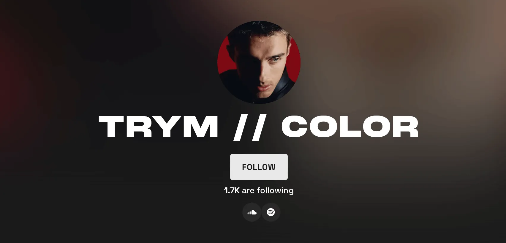 Exemplo de uma página de artista