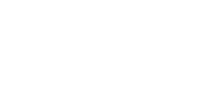 Flash
