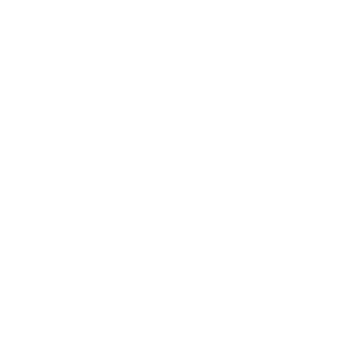 Eray Feyzi Logo