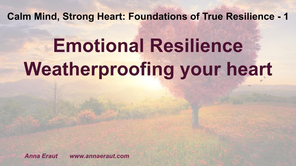 Emotional Resilience Weatherproofing your heart