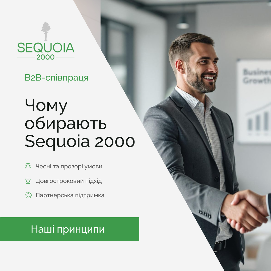 blog-image-article