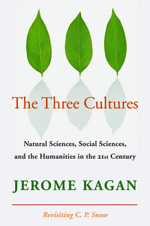 The Three Cultures: Natural Sciences, Social Sciences, and the Humanities in the 21st Century