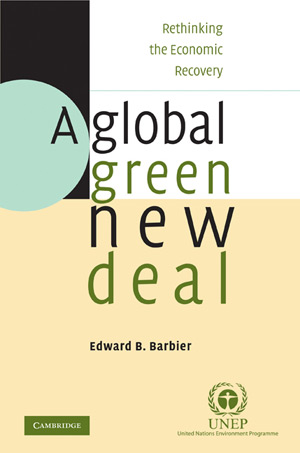A Global Green New Deal: Rethinking the Economic Recovery