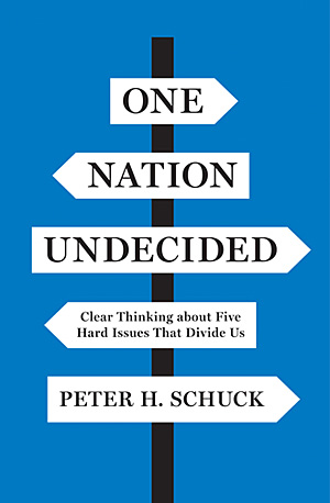 One Nation Undecided: Clear Thinking about Five Hard Issues That Divide Us