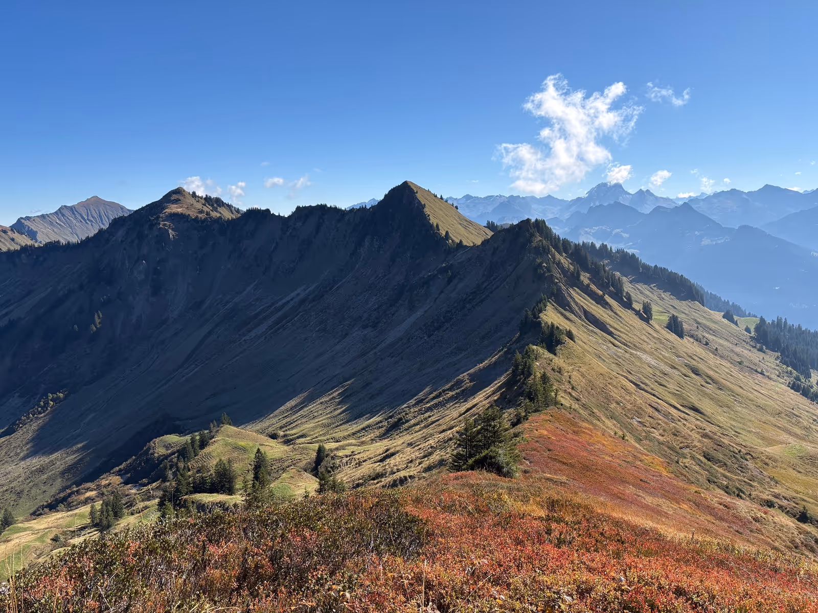 Herbstwandertag 2025