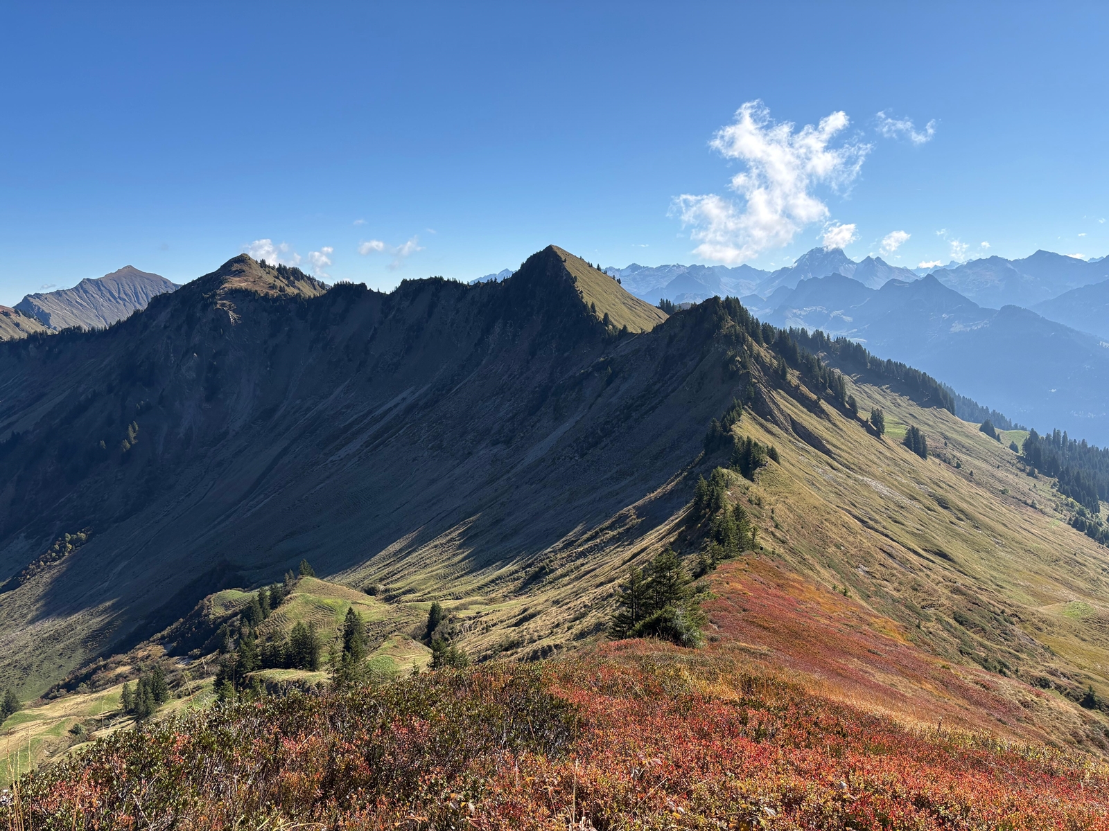 Herbstwandertag 2025