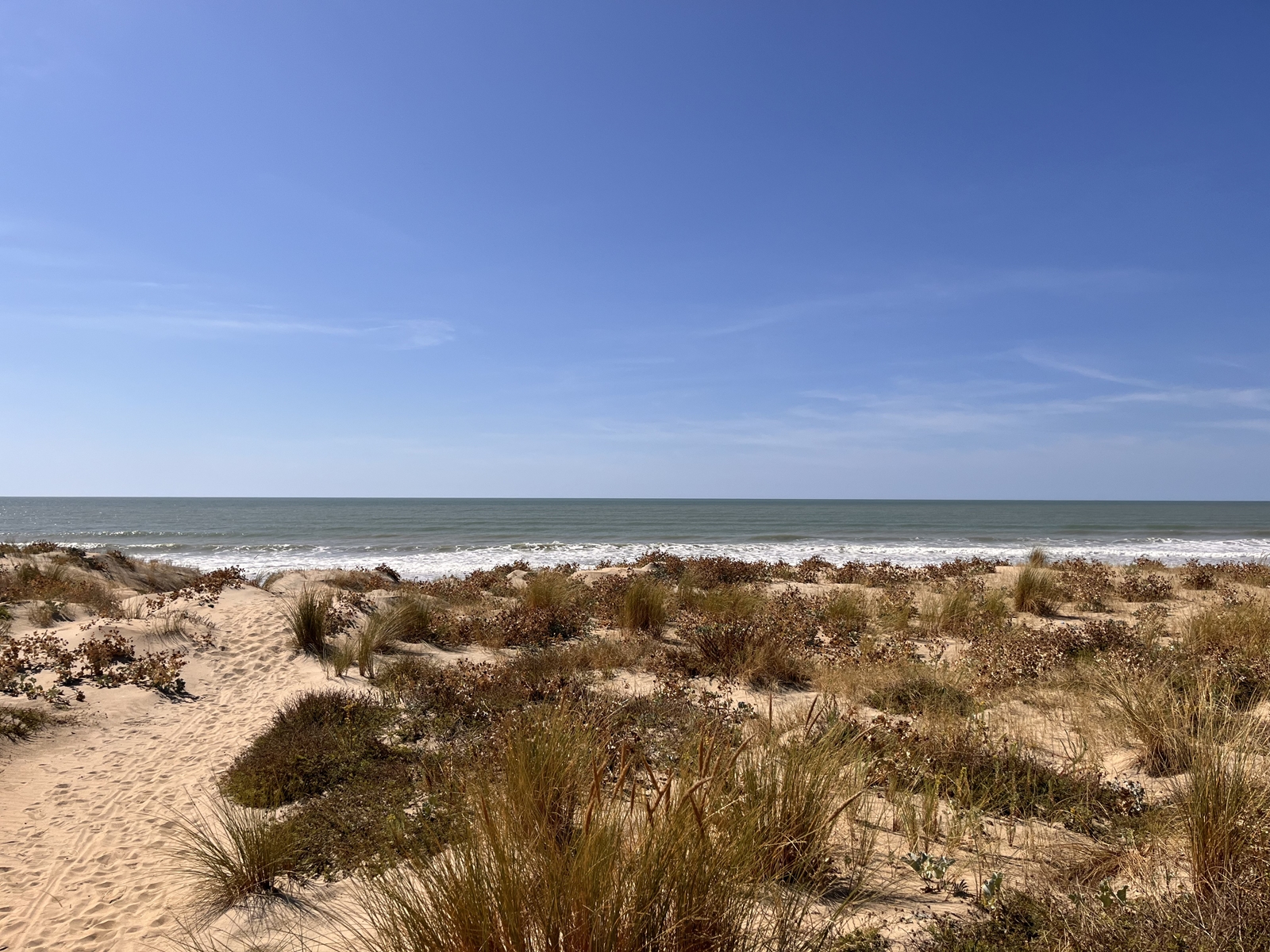 Erasmus-Austausch in Fontenay-le-Comte