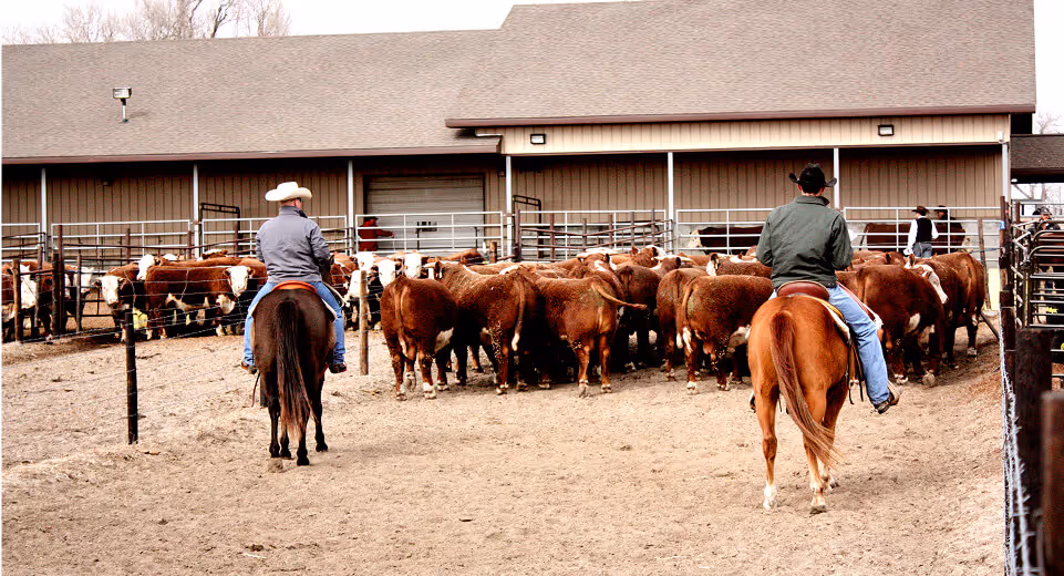 Workers Compensation Form