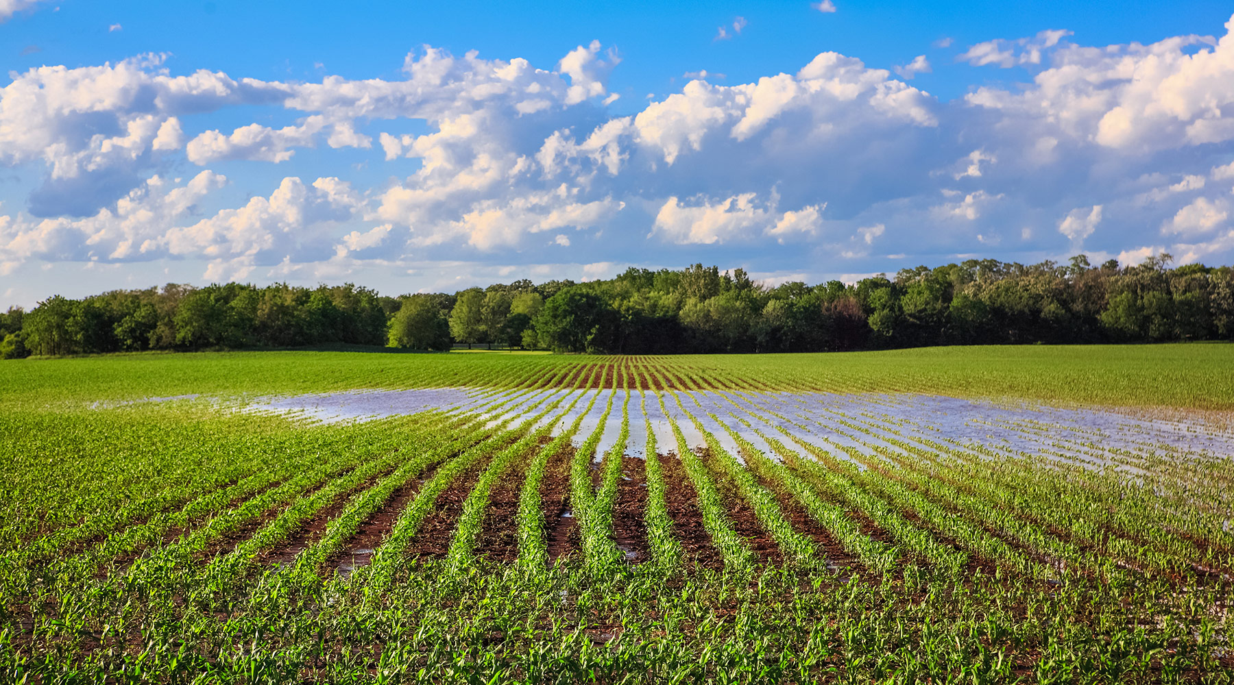 Nebraska Farm Bureau Submits Comments on  EPA’s Latest Waters of the U.S. Proposal