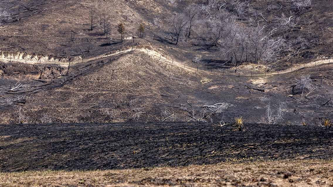 Nebraska Farm Bureau Disaster Relief Fund Opens Applications for Assistance to Help Farmers and Ranchers
