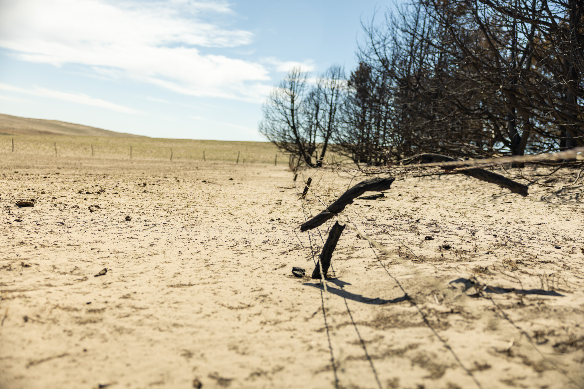Nebraska Wildfire Aftermath | Rancher Shares Story of Loss and Hope