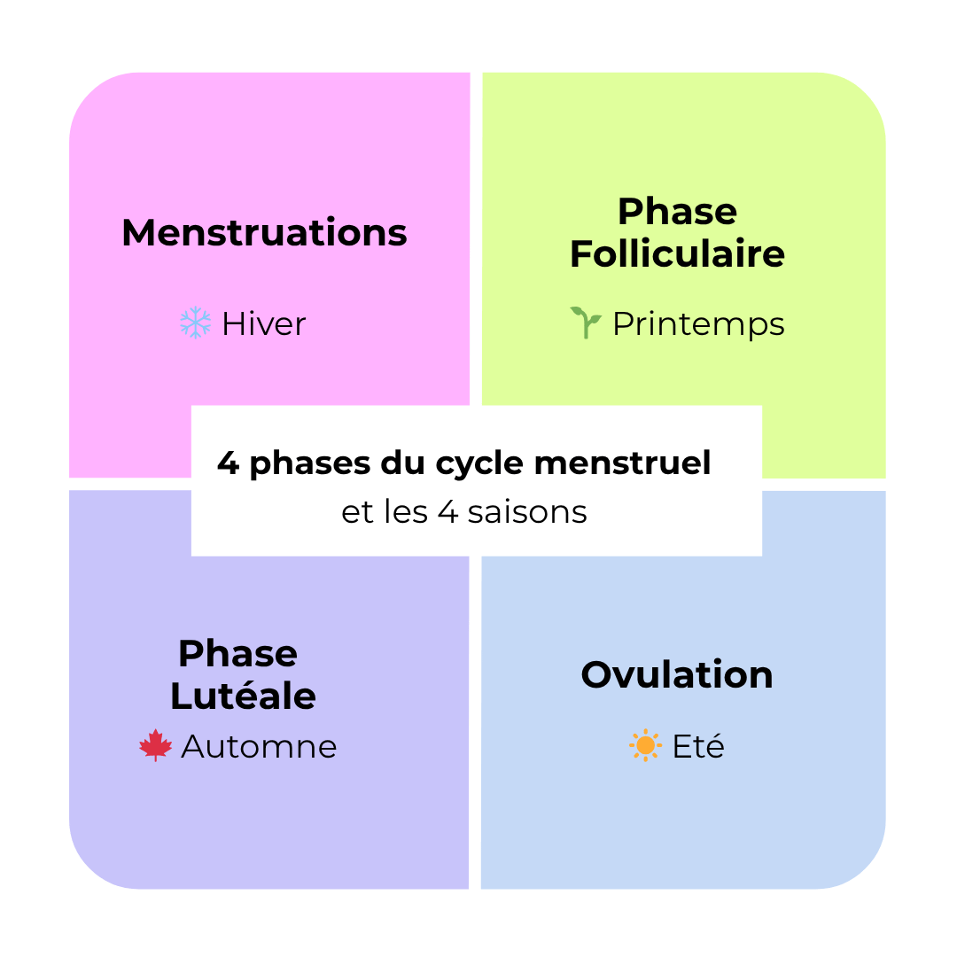 Le cycle menstruel passe par plusieurs phases que l'on compare aux saisons