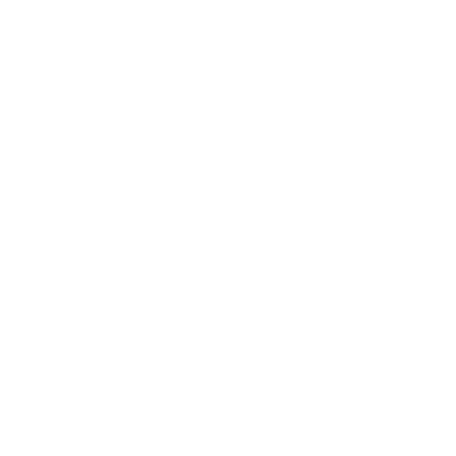 mindset