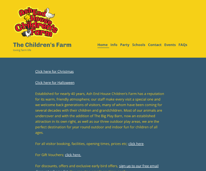 Screenshot of a website with a lot of text - Example of bad practices