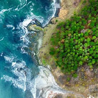 aerial view of nature scene: crashing waves and green forest by the water edge
