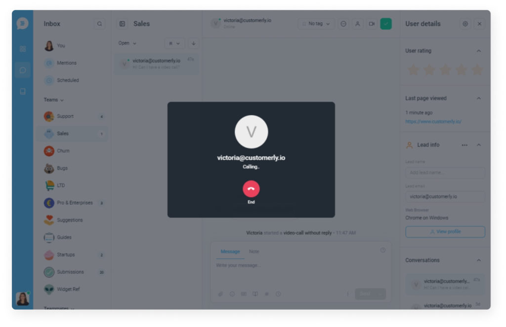 Video chat preview