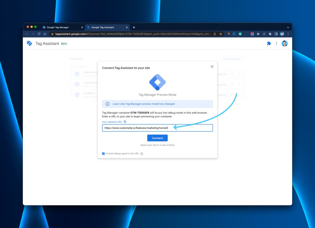Google Tag Manager URL preview