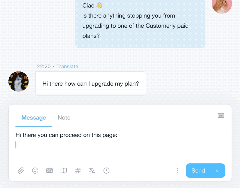 canned response with upgrade url