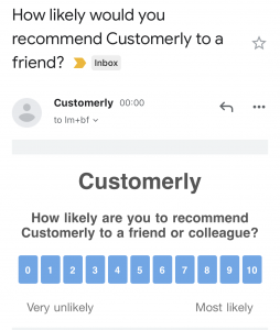 SaaS Customer Strategy Analyze NPS Net Promoter Score