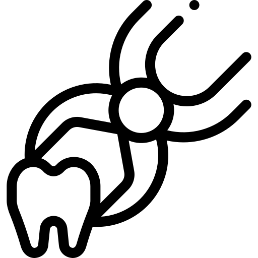 Exodoncia