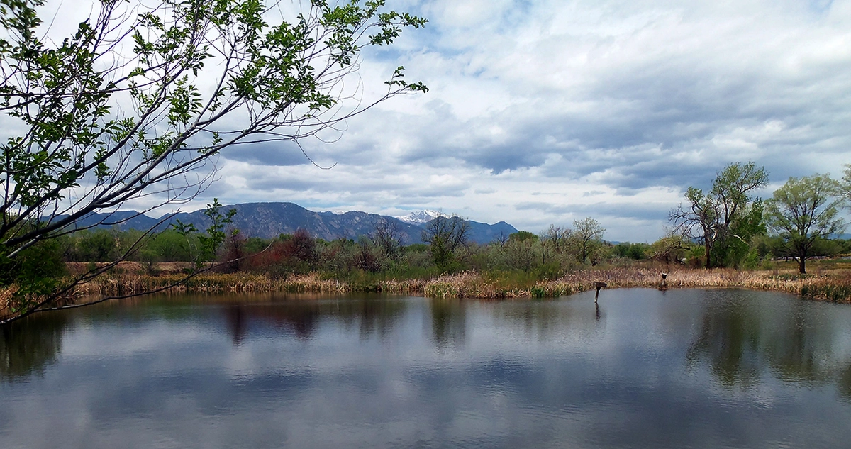 Fountain Valley area of Colorado Springs, Colorado.