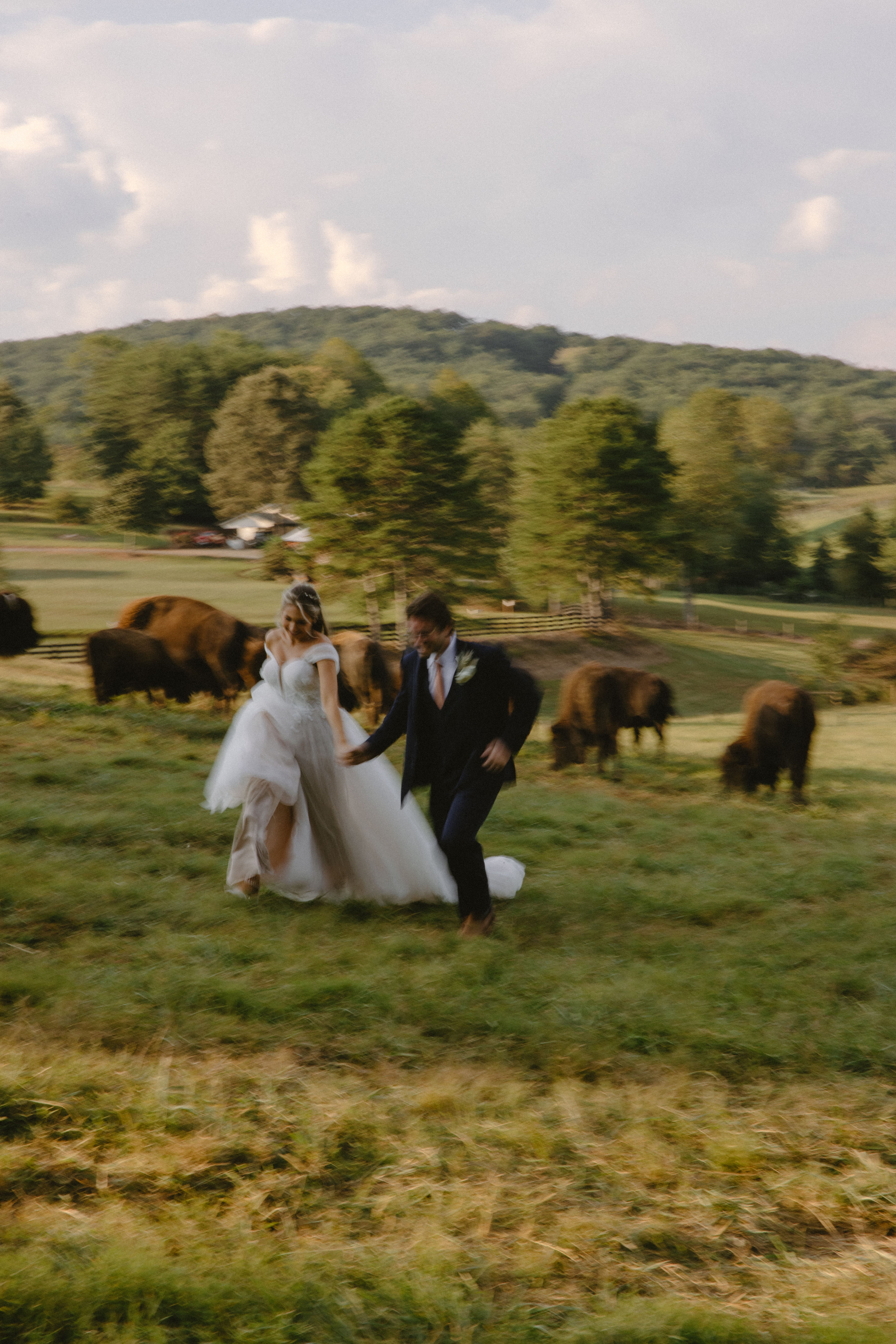 North Georgia farm wedding venue couple standing in farm pasture