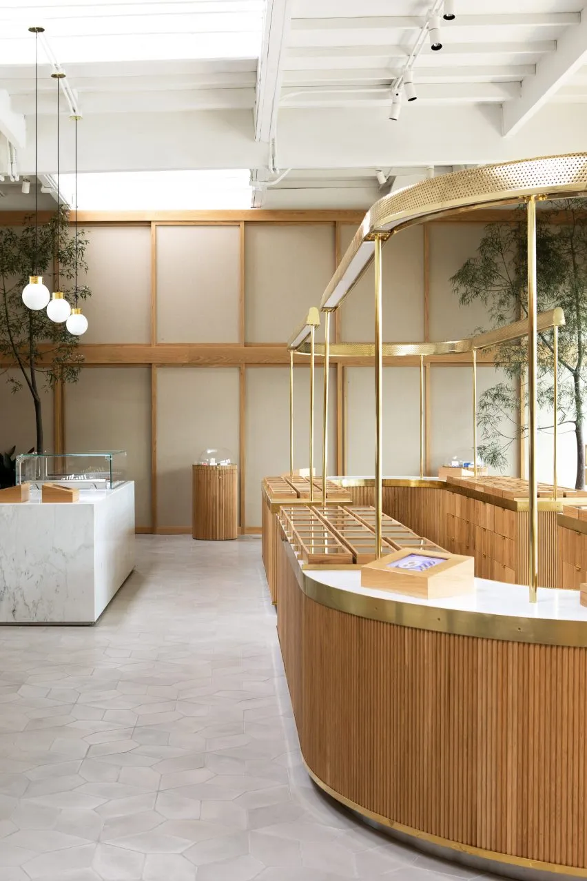 interior of a well designed dispensary