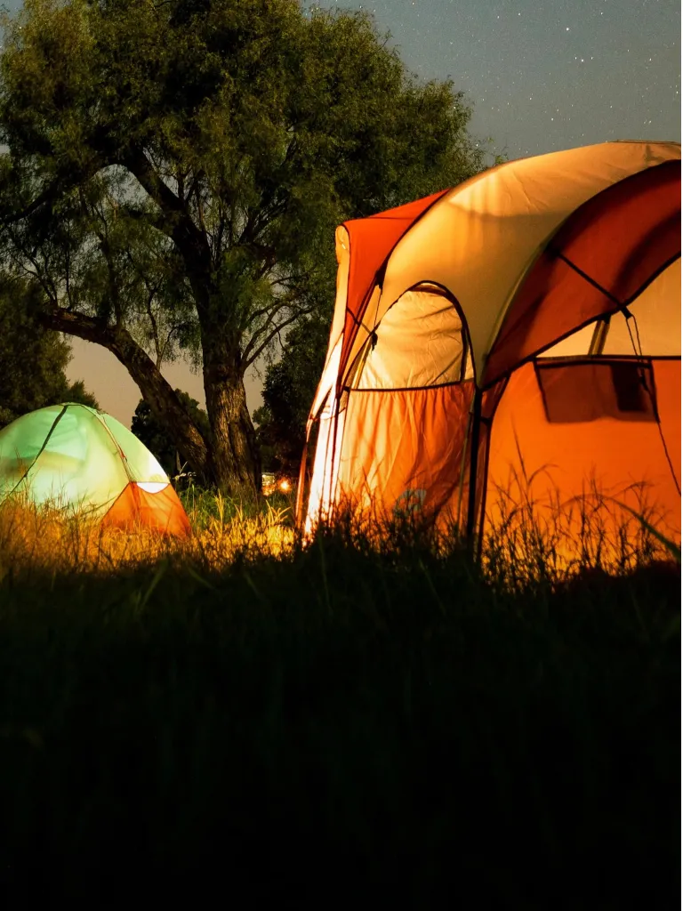 Two illuminated tents pitched on grass near trees under a starry night sky.