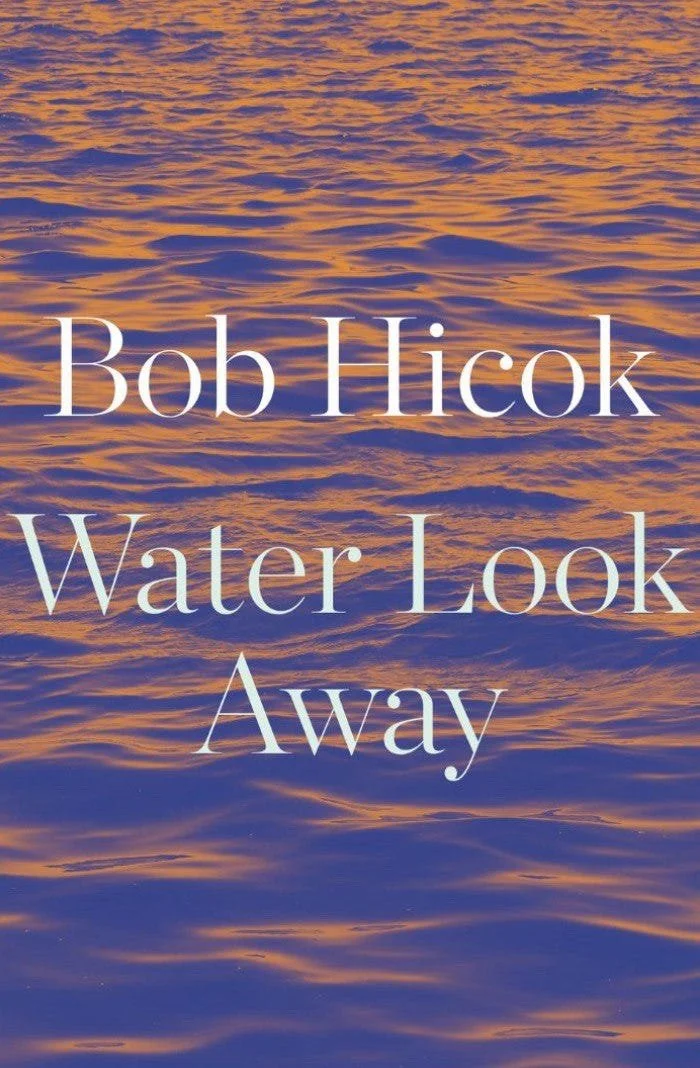 Cover of Bob Hicok's book Water Look Away.