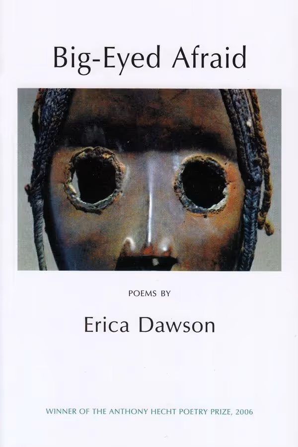 big-eyed-afraid-erica-dawson-book-cover