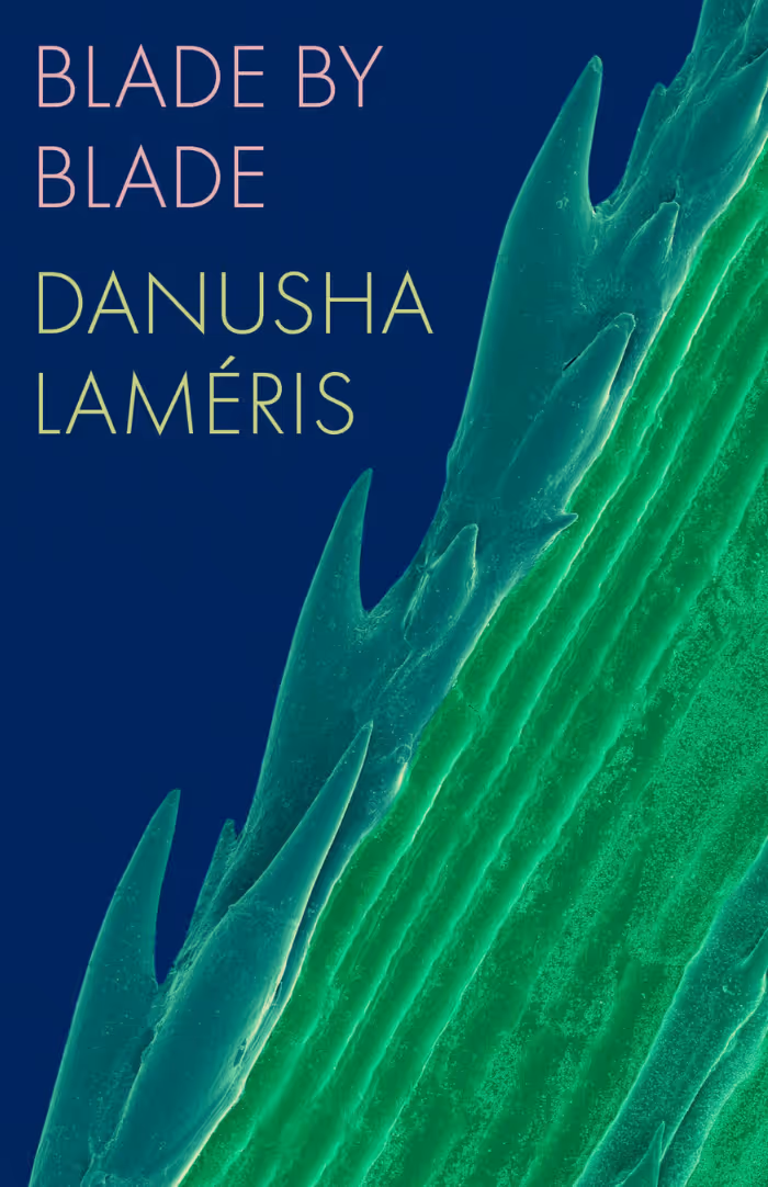 Book-Covers-2.png (700×1082)