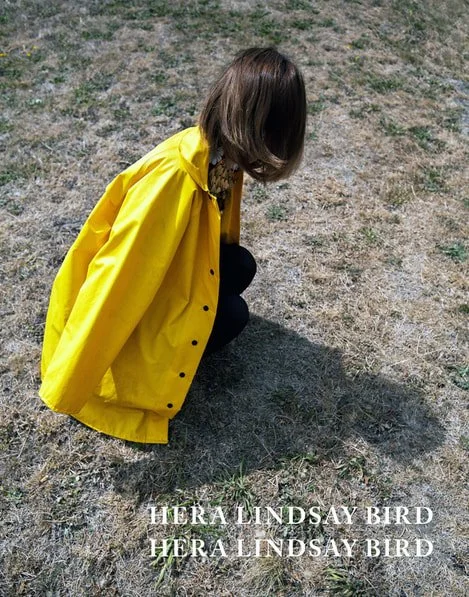 hera-lindsay-bird-book-cover