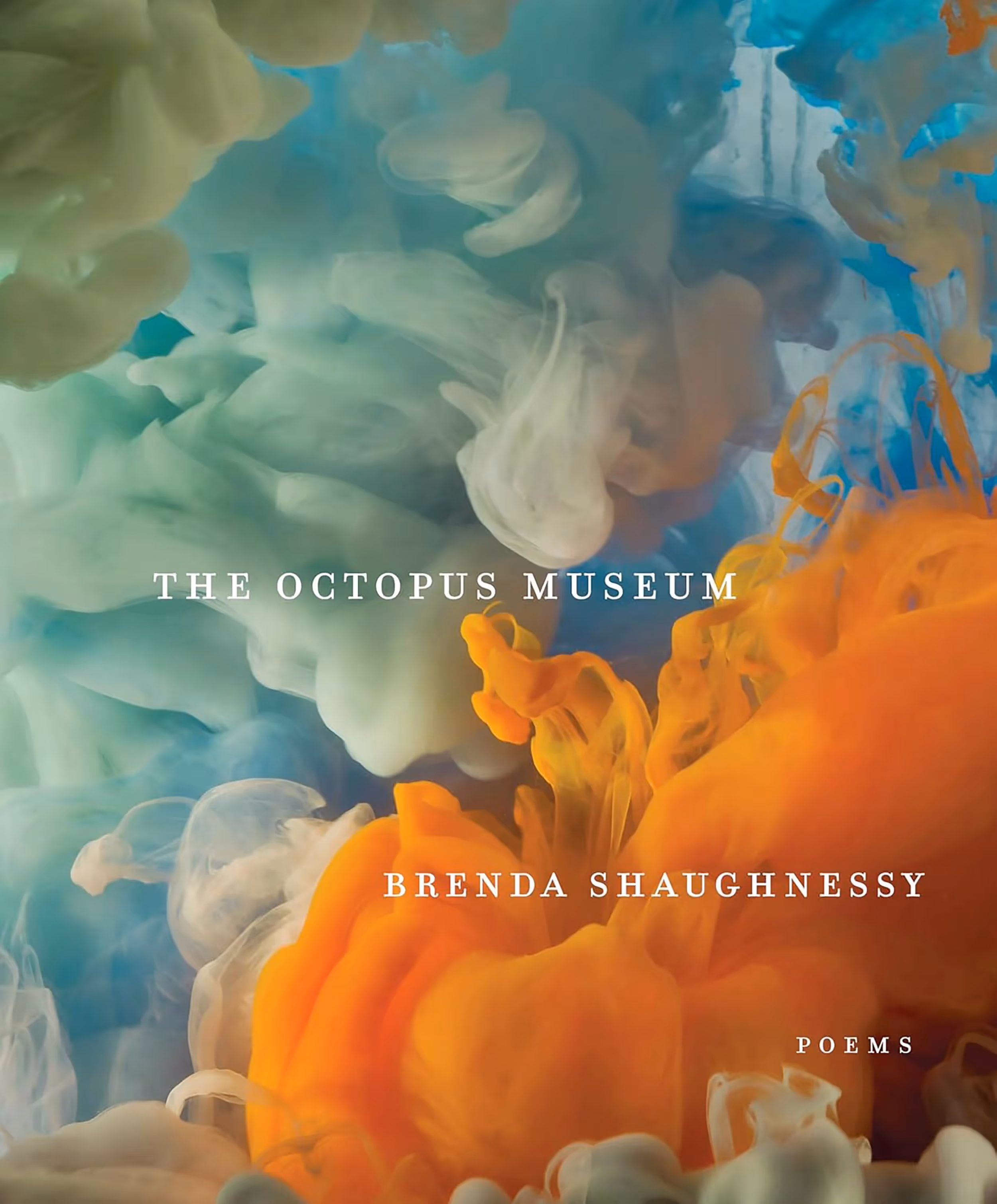 the-octopus-museum-brenda-shaughnessy-poetry-motherhood
