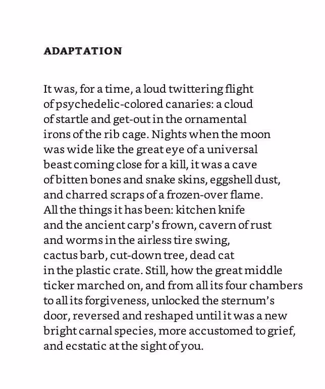 Ada-limon-poem-quote-adaptation