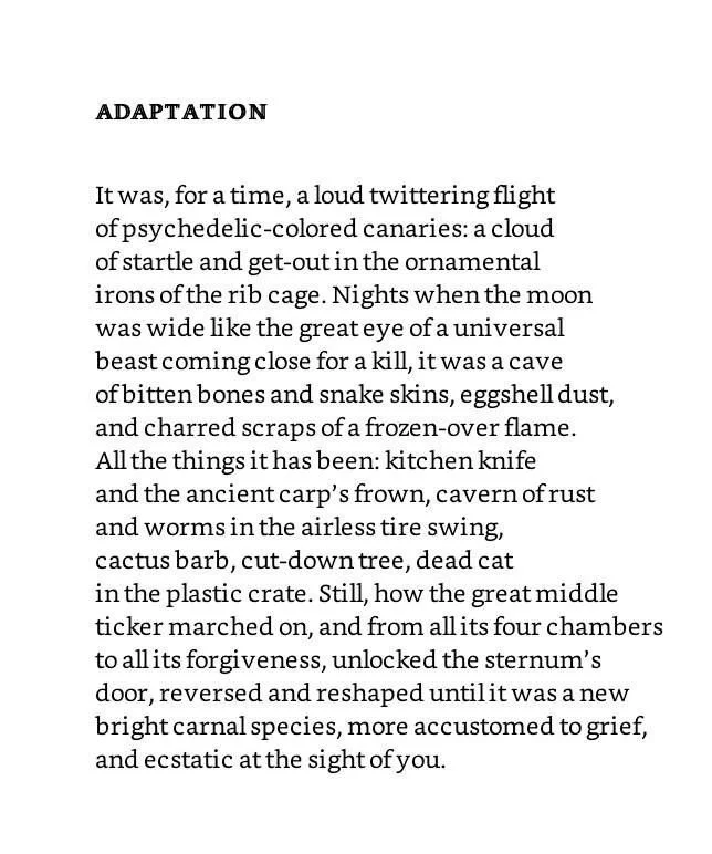 Ada-limon-poem-quote-adaptation