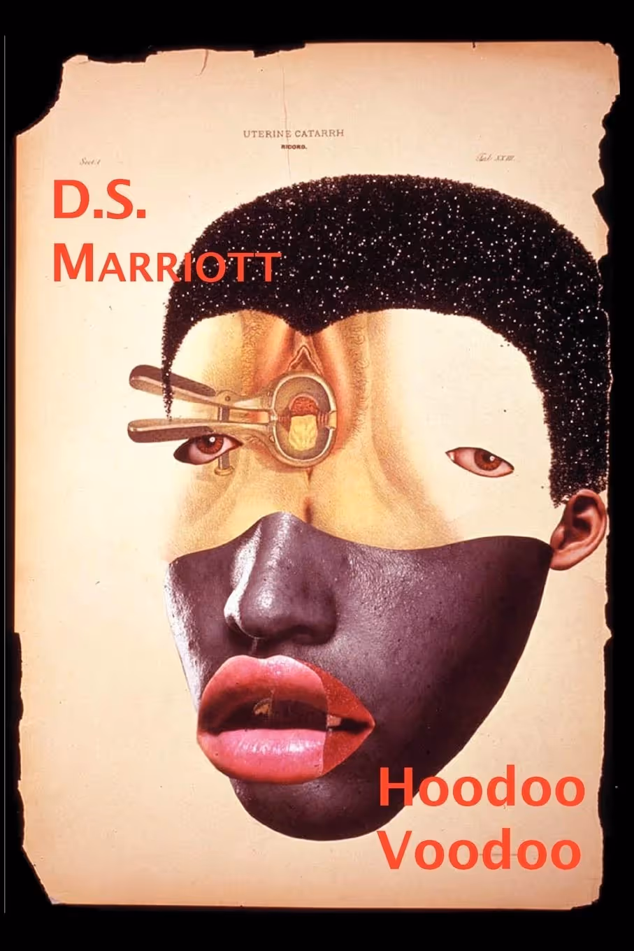 hoodoo-voodoo-d-s-marriott-book-cover