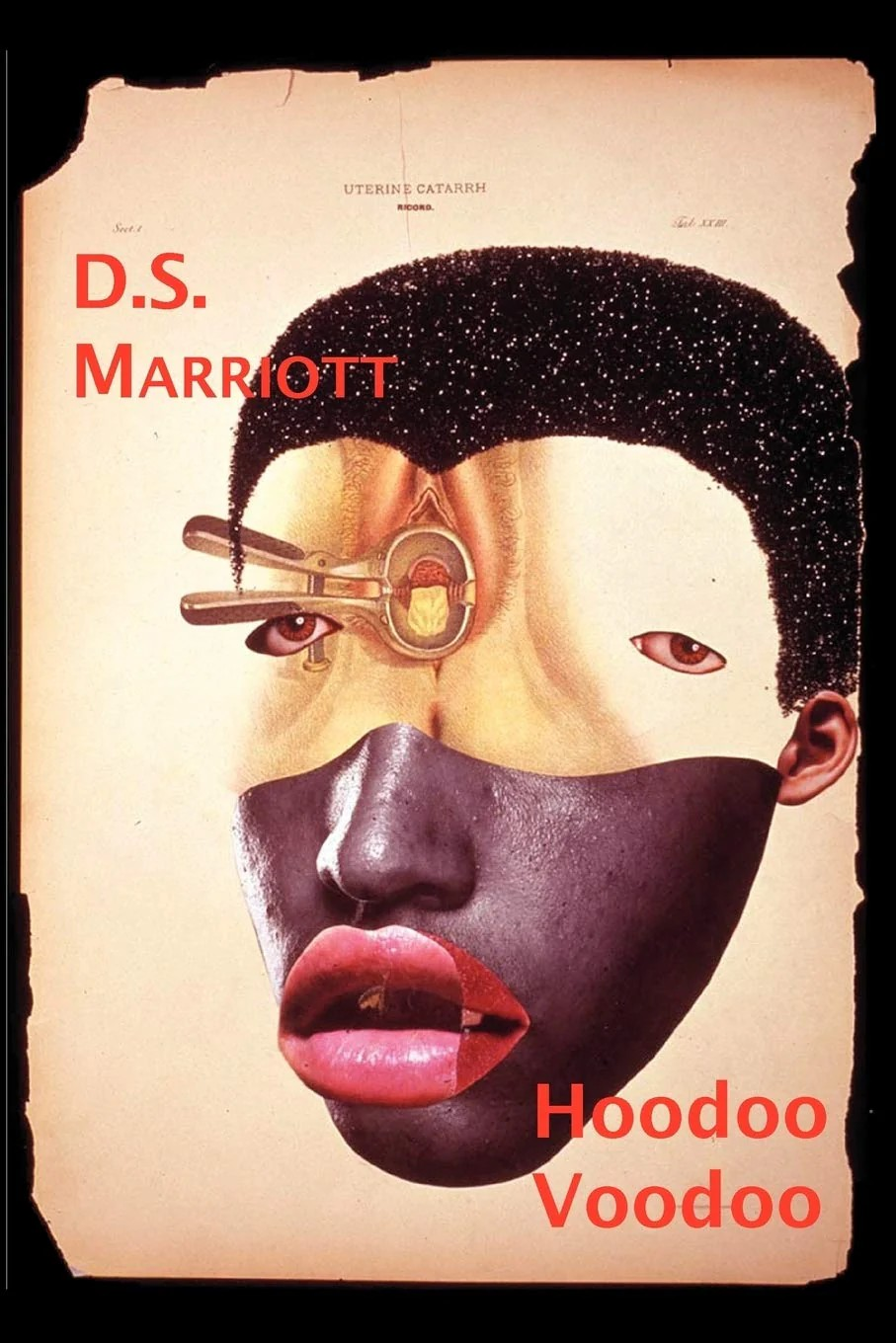 hoodoo-voodoo-d-s-marriott-book-cover