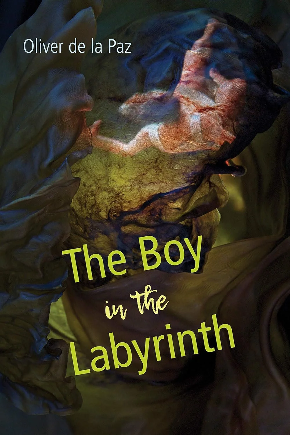 oliver de la paz the boy in the labyrinth poetry fatherhood