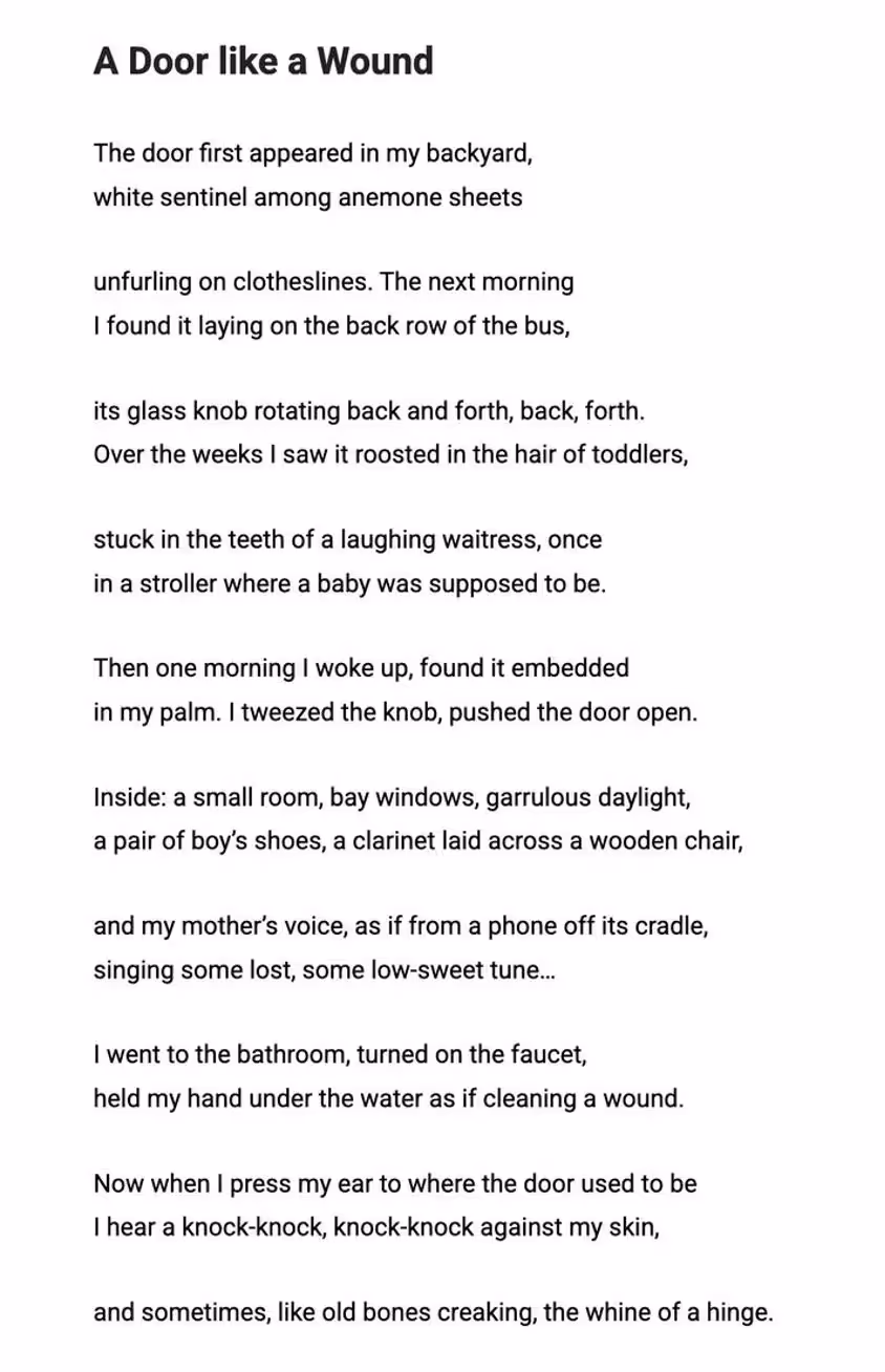 todd dillard a door like a wound poem fatherhood