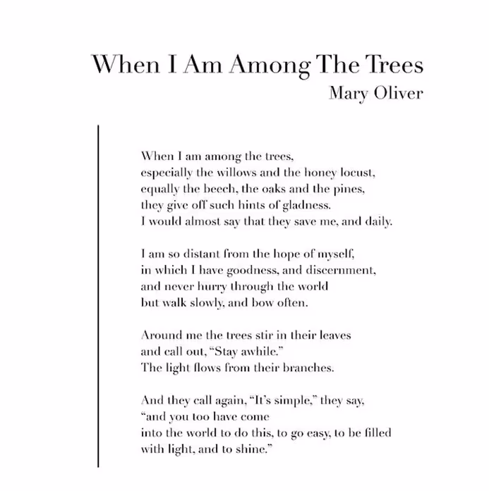 mary-oliver-poem-quote