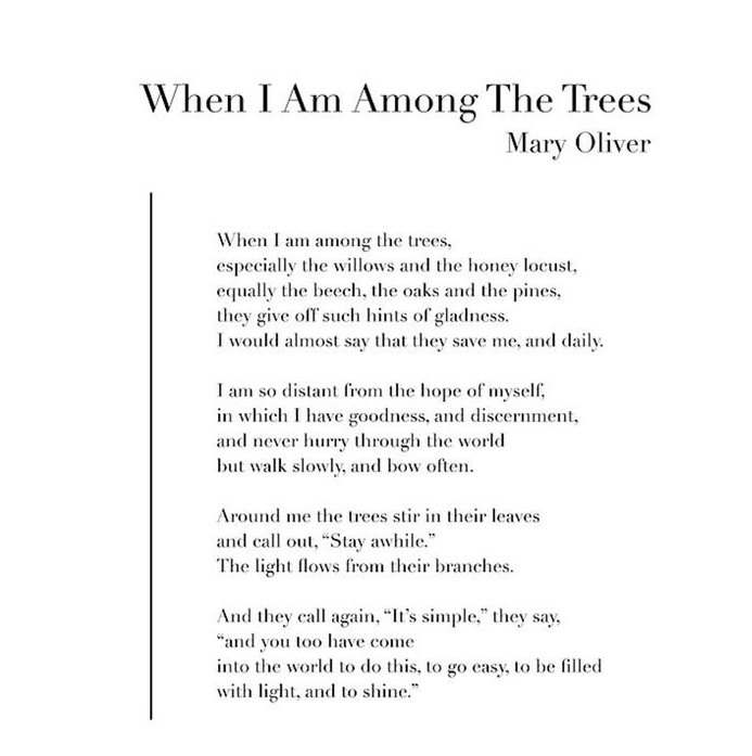 mary-oliver-poem-quote