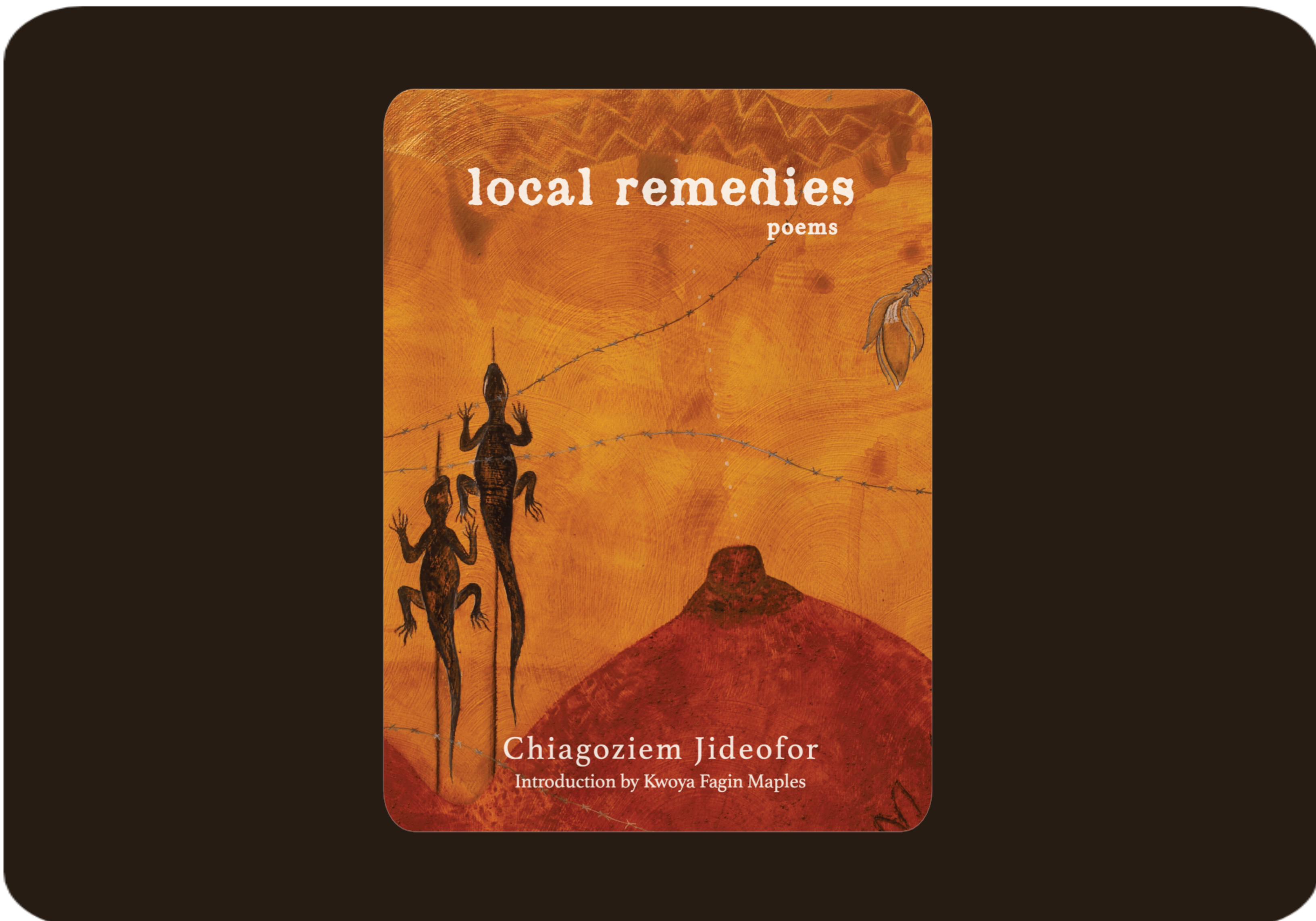 local remedies by Chiagoziem Jideofor