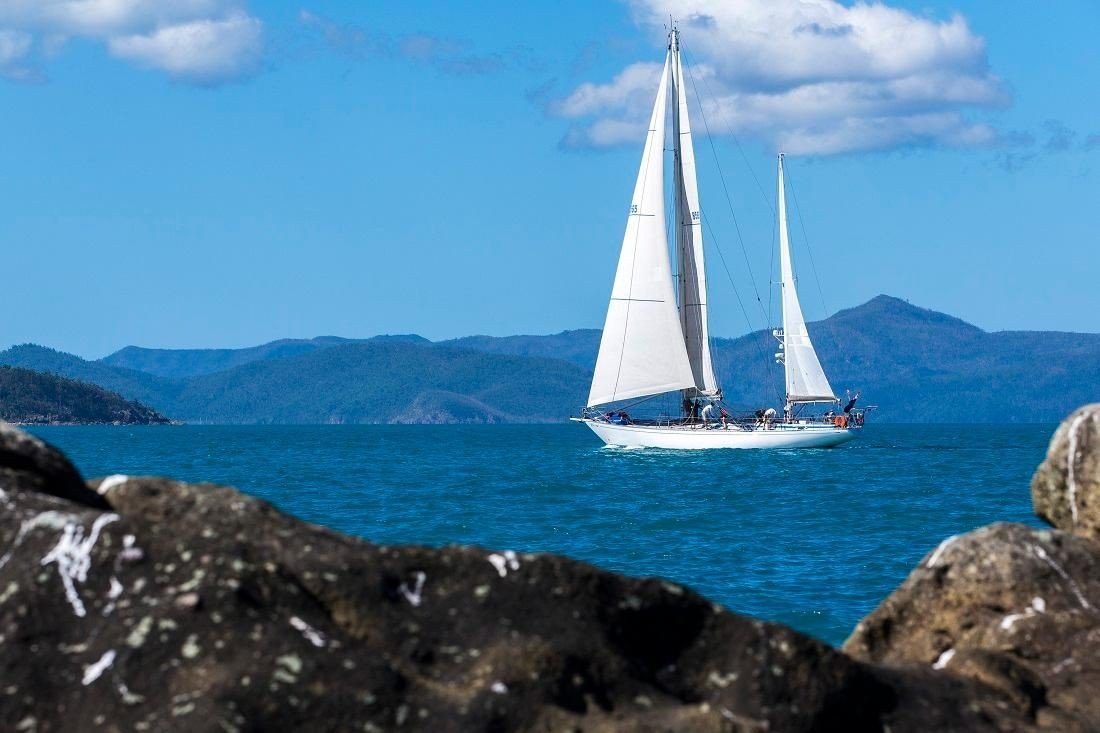 'Eve' sailing at Airlie Beach Race Week 2017. Photo by Andrea Francolini|Andrew York sailing the 2019 Sydney Harbour regatta. Photo by Andrea Francolini|Holy Cow at Airlie Beach Race Week 2016 - Photo by Andrea Francolini